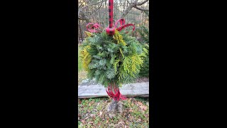 Evergreen Live Kissing Ball