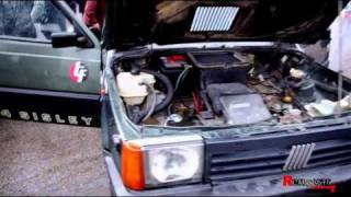 Panda Raid 2011 (Salida)