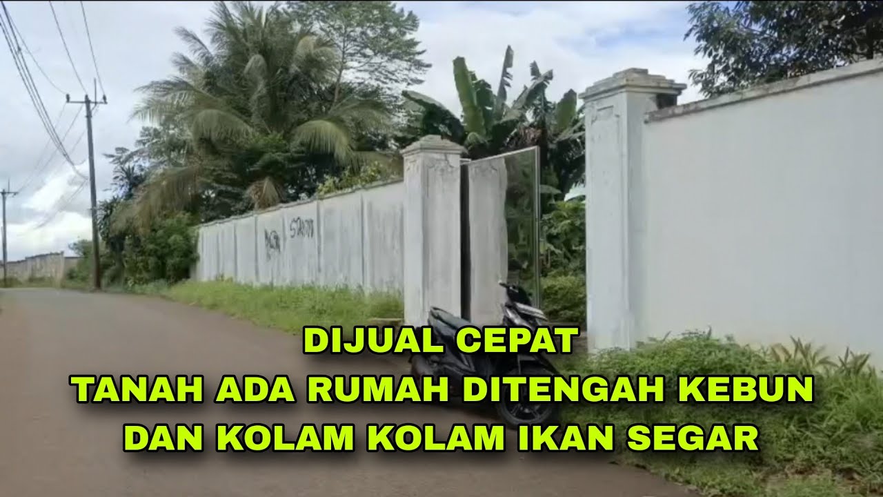 DIJUAL CEPAT TANAH ADA RUMAH DI TENGAH KEBUN DAN KOLAM IKAN JASINGA BOGOR #tanahdijual #rumahdijual 