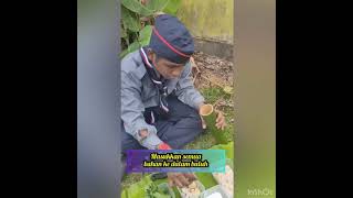 Download Lagu SURVIVAL CHEF - MASAKAN RIMBA - NASI BULUH \u0026 AYAM REBUS BULUH - WAN LOKMAN AL HAKIM BIN ZAILANI MP3