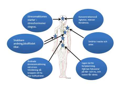 Video: Behandling Av Stress Och Orsakerna Till Denna Sjukdom