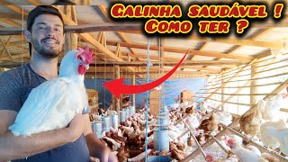 Faça Isso e Tenha Galinhas Saudáveis o Ano Todo ! by Granja Inova Ovos Caipiras 2,890 views 3 weeks ago 7 minutes, 27 seconds