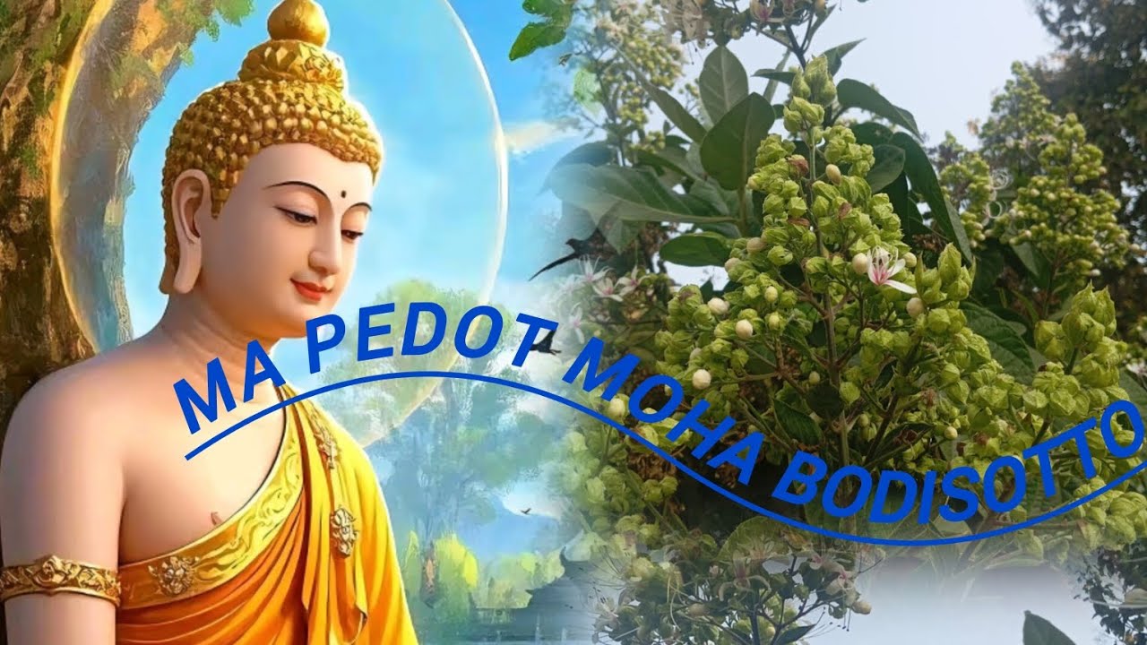 Ma Pedot Moha Bodisotto || Chakma New Buddhist Song 2025 || Chakma Buddha Song || Rubel Chakma