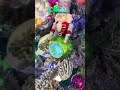 Raz 10.5" Set of 2 Nutcracker Reflector Glass Christmas Ornament 4657714