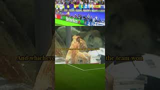 Could Paul predict today's result? #footballfacts #worldcuprussia #footballstories #footballhistory