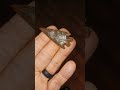 Knife River Elko #flintknapping #flintknapper #lithic #rockpuzzler