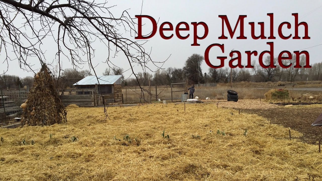 deep mulch gardening, winter preparations for the deep mulch garden - youtube, Design ideen