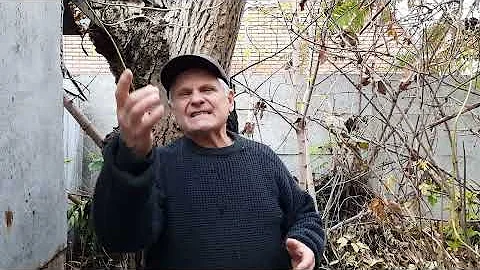 Грецкий орех. Когда он вреден для здоровья