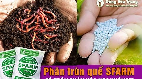 Phân trùn quế SFARM có trộn phân hóa học không? | WWW.DANGGIATRANG.VN