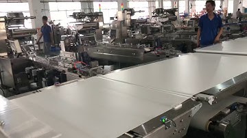 Cupcake auto-packaging machine lines. Muffin cake full auto-packing machine system