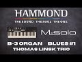 Hammond msolo b3 type organ demo blues 1