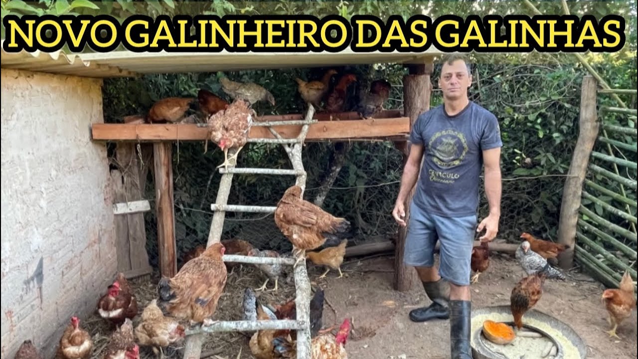 REFORMANDO A CASA DAS GALINHAS COM BAMBU