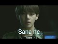 BTS Türkçe kelimeler gibi - V (şarkı)