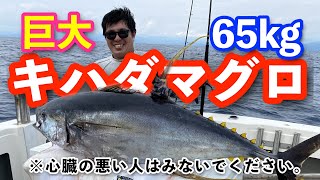 巨大（65kg）キハダマグロを釣ってみた