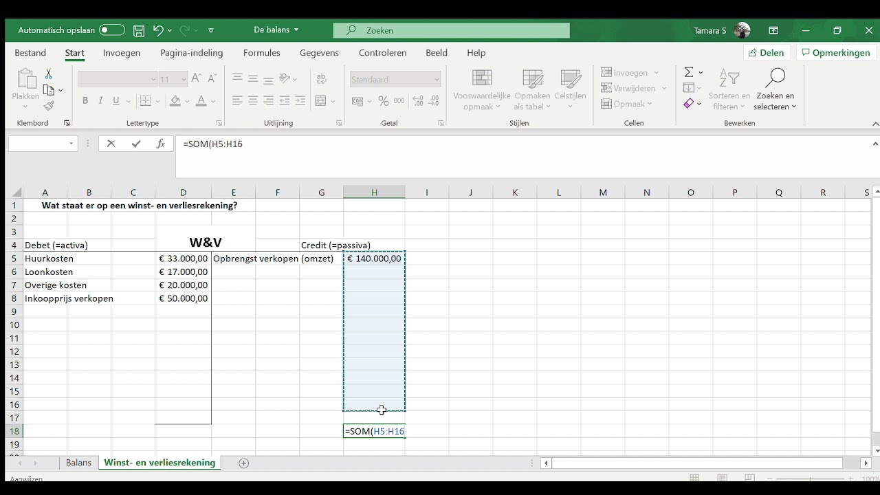 New Update De winst- en verliesrekening (Excel)