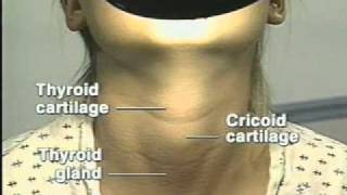 Neck Inspection (head&neck examination)
