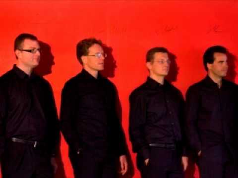 Schubert Quartettsatz  D.703   Steude Quartett