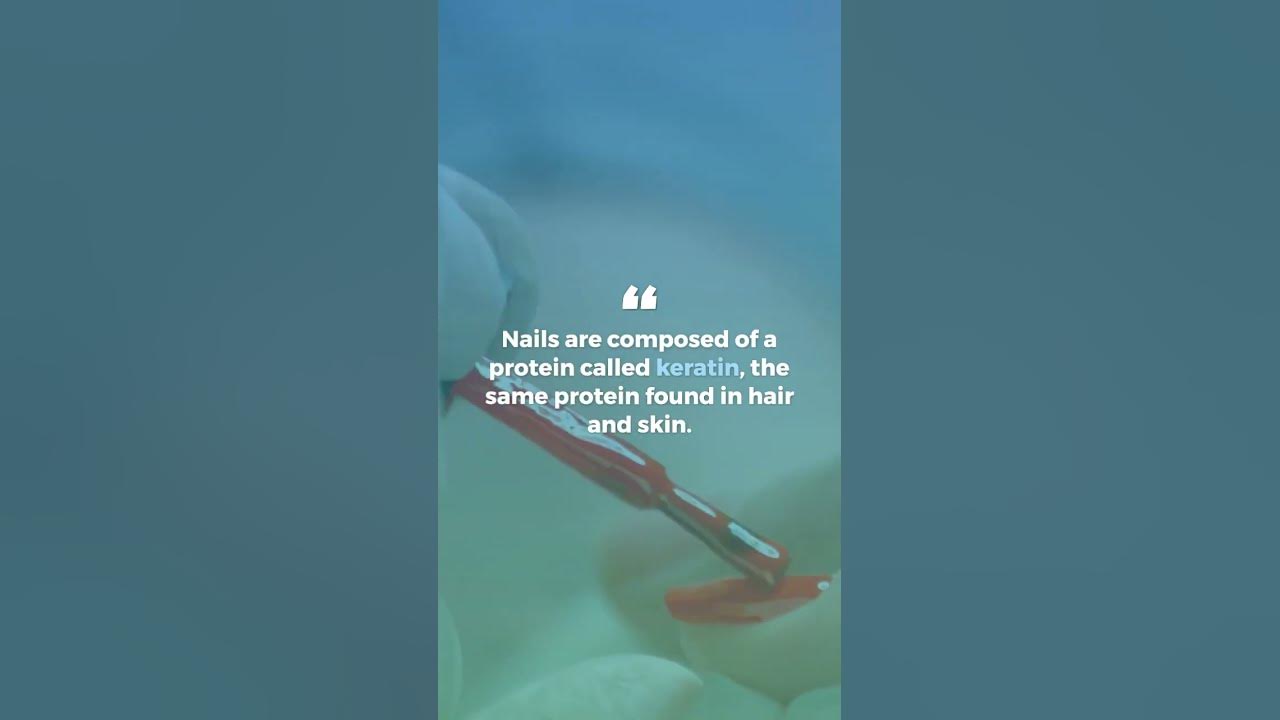3 interesting facts about Nail YouTube
