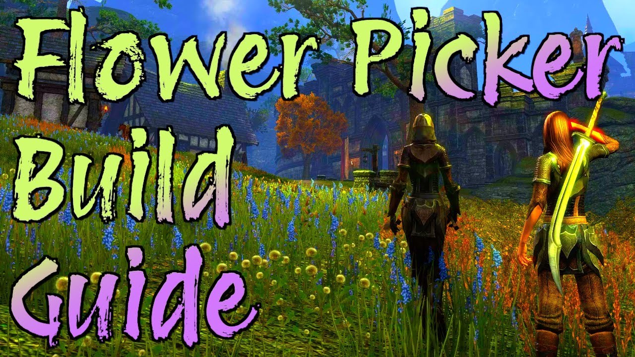 ESO Gathering Build Guide For All Classes YouTube