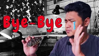 Tips for leaving red eared slider turtle when traveling