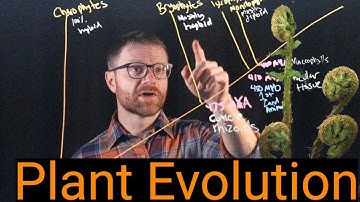 How Flowering Plants Conquered the Earth: an 800-Million-Year Journey