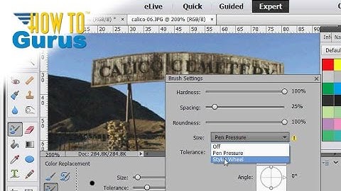 How to Use the Paint Tools in Adobe Photoshop Elements 15 14 13 12 11 Tutorial