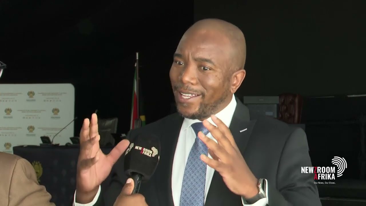Cut VIP protection costs - Maimane