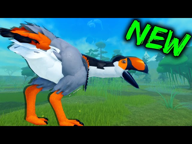 What is the Fastest Running Bird in Feather Family: Ultimate Speed Revealed