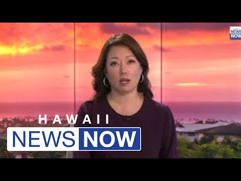 HNN News Brief