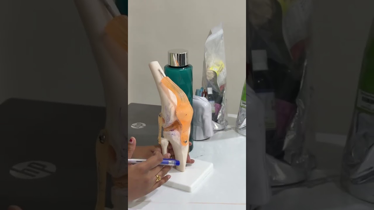 Bhavana jain 103k followers (450k views in this video)