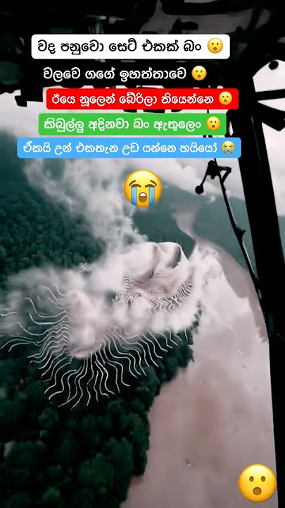 ගග පට්ට ගද ගහල මේ මාසෙම බං උංගෙං ඇසිඩ් එකක් පිටවෙලාලු ඒ ලග ගෙවල්වල වතුර ණෑ මාස ගානකට ආයෙ 😭