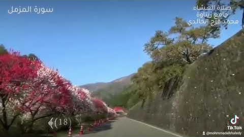 سورة المزمل محمد الخالدي صلاة العشاء