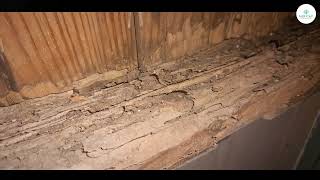 Austin Pest Control & Exterminator | Termites, Ant & Carpenter Ant Control - No Fly Zone Inc.
