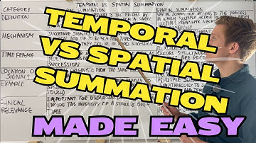 Temporal vs Spatial Summation Made Simple!