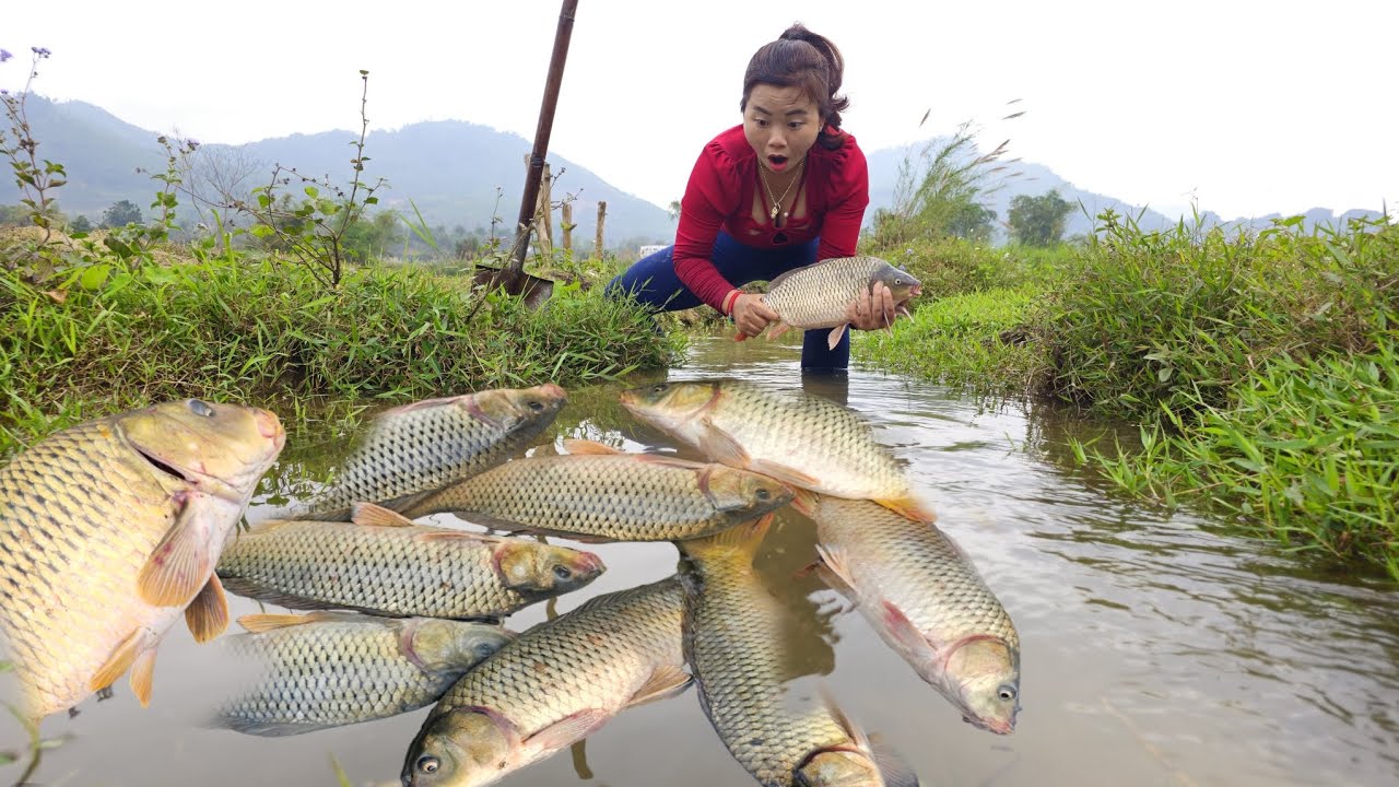 Using a shovel to shallow the water,the girl caught many big fish - YouTube