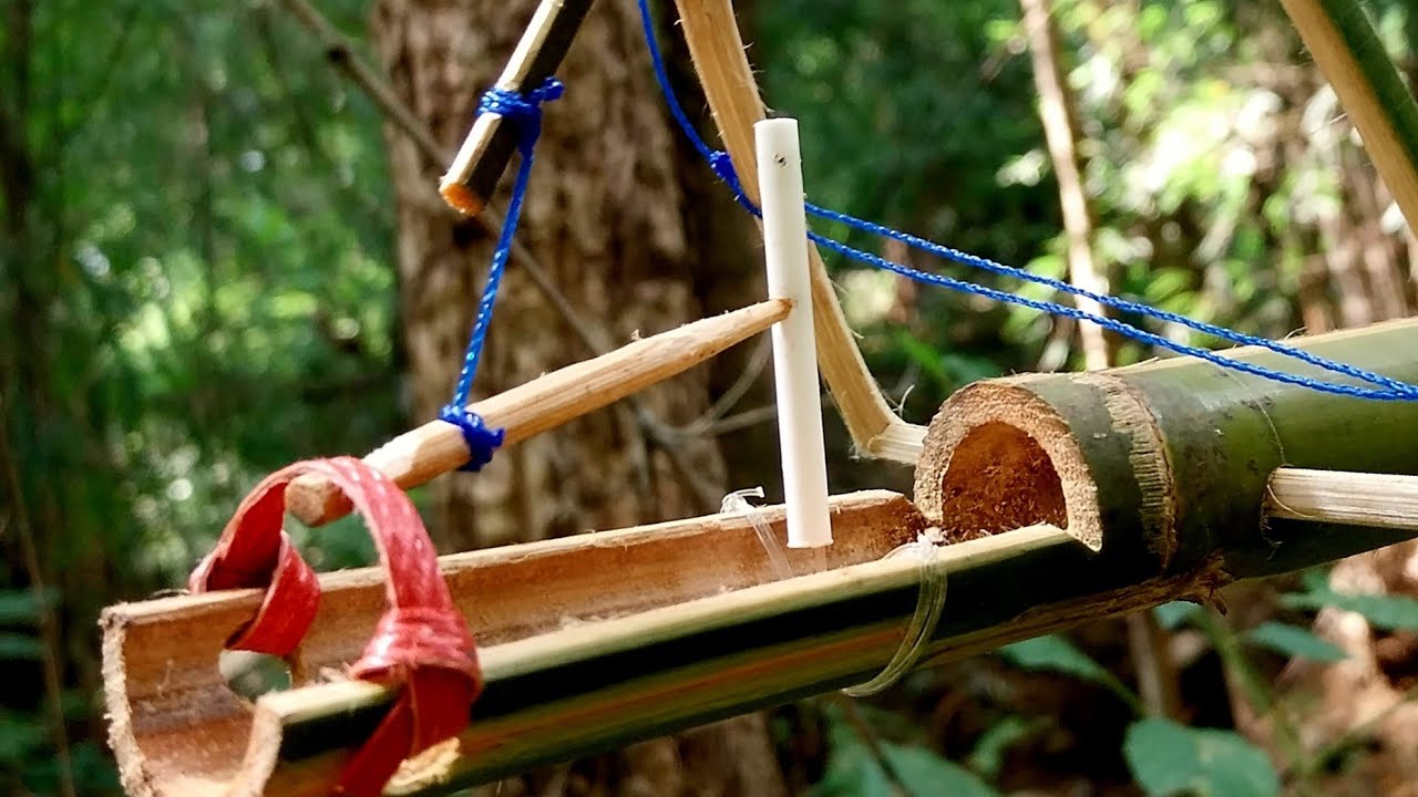 แค่รู้สิ่งนี้คุณก็อยู่รอดในป่า กับดักนกที่ดีที่สุด อันดับต้นๆของกับดักนก|Bird snare |Amazing trap 