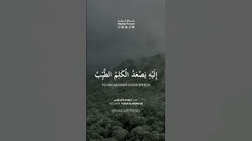 سورة فاطر - من كان يريد العزة فلله العزة جميعا - يوسف العيدروس - مدار ترند MadarTrend