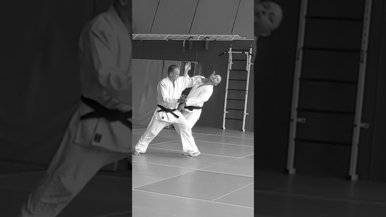 Shomenuchi shomen irimi nage 正面打ち自由技 