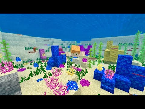 Minecraft Vol 28 サンゴを飾る Youtube