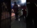 Banda Oro Blanco en vivo toro mambo