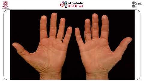 M-03. Fingerprint Patterns & Ridge Characteristics