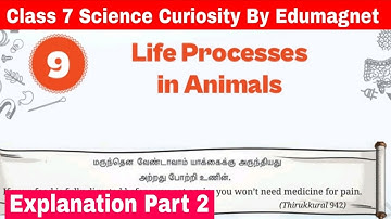 NCERT Class 7 Science Curiosity Chapter 9 Life Processes in Animals | Part 2 |  EDUMAGNET