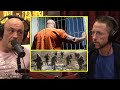 Russian monsters are being sent to the frontlines  joe rogan  neal brennan