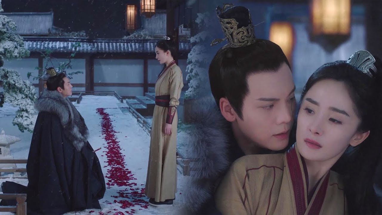 海市委屈怒摔婚书，方诸单膝跪地求婚，背后抱深情认错！🌊【斛珠夫人 Novoland: Pearl Eclipse】