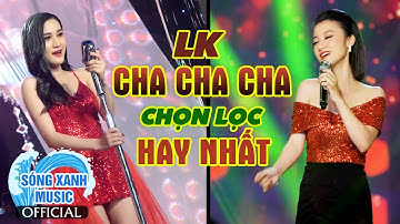Nhạc Trẻ Remix Hay Nhất 2024 | LK Cha Cha Cha Chọn Lọc Hay Nhất