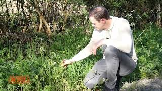 Wilfrid Chevalier - Le modèle naturel au jardin : imiter la nature