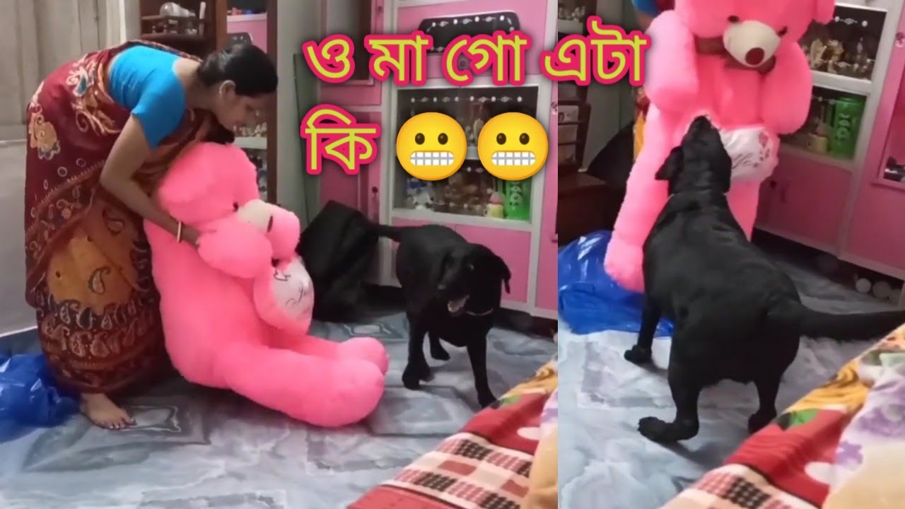 Jerry Aj voi peyechilo🥺😝 