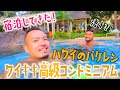 【ハワイ】ワイキキ超高級コンドミニアムのバケーションレンタルに宿泊したらやっぱり凄かった！ [147] #ハワイ #バケレン #ワイキキ