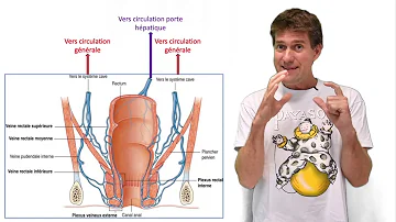 Comment utiliser voie rectal ?