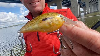 Kevin VanDam's total squarebill cranking rig and how he fishes 'em!!!!